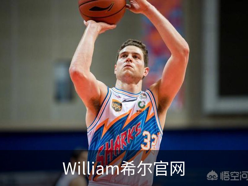 William希尔官网介绍
